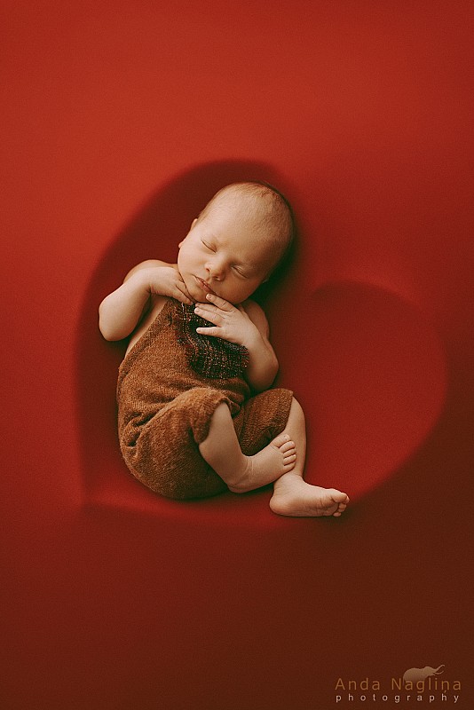 Jaundzimušo mazuļu foto galerija I Fotogrāfe Anda Nagliņa 293600